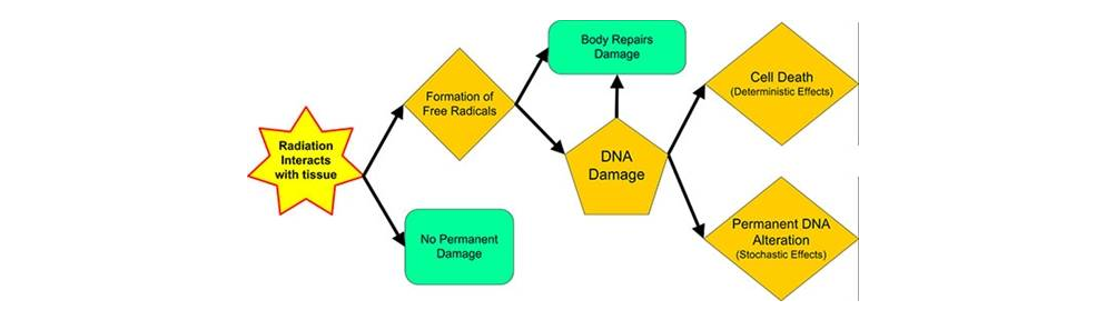 how to understand and communicate radiation risk diagram